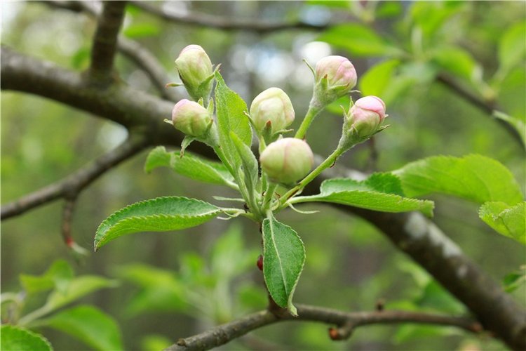 Женя-путешественница — Советские винтажные куклы (СССР): Ленигрушка (фото 7)
