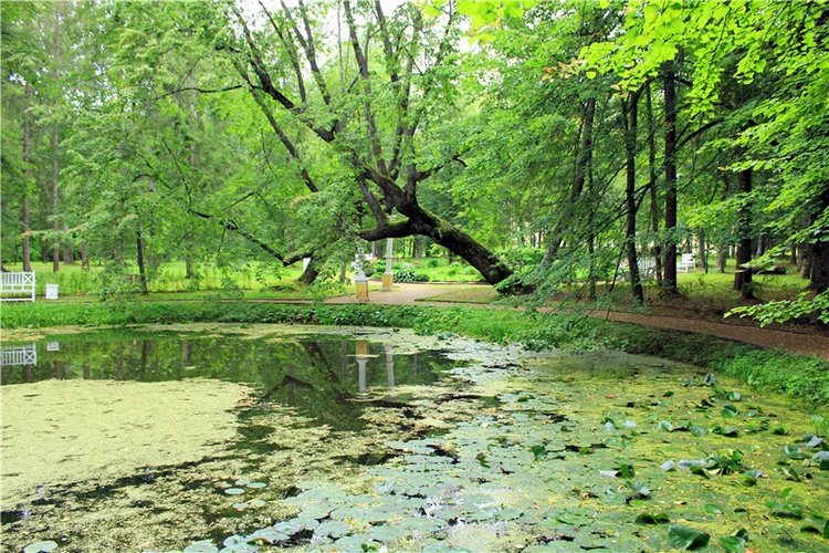 Подарок для Бенни | Бэйбики Подарок для Бенни — Куклы Iplehouse (Иплхаус): BJD (БЖД)