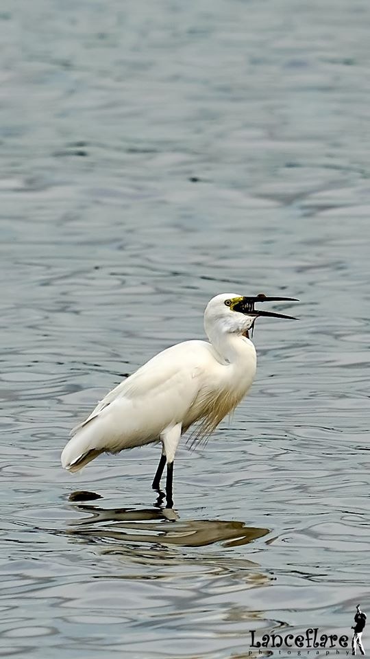 Любителям природы - профессиональные фотографии (выпуск 4)
