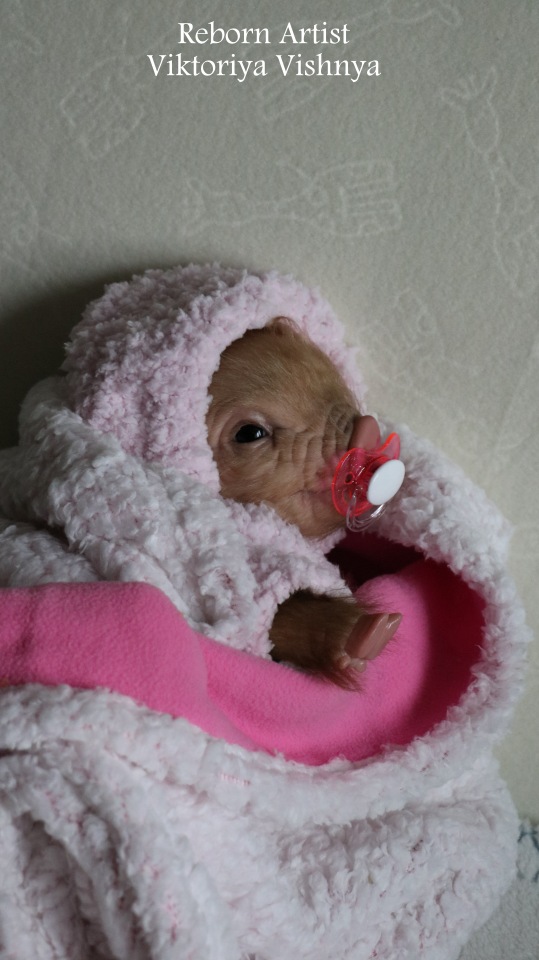 Поросенок Мила... куколка реборн Виктории Вишни