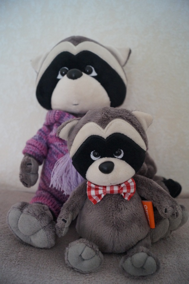 У Агаши много новеньких! Жители надкроватных полочек