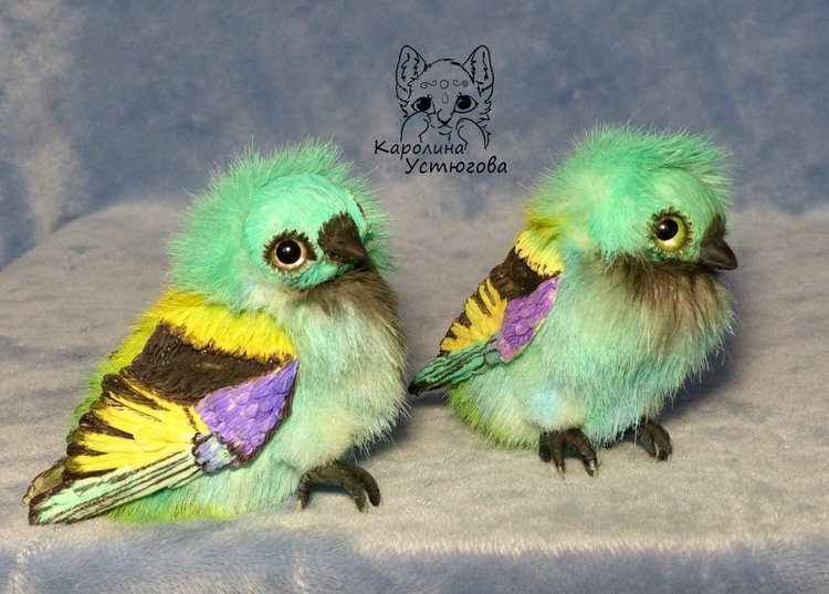 Зеленоголовая танагра, чудо птичка