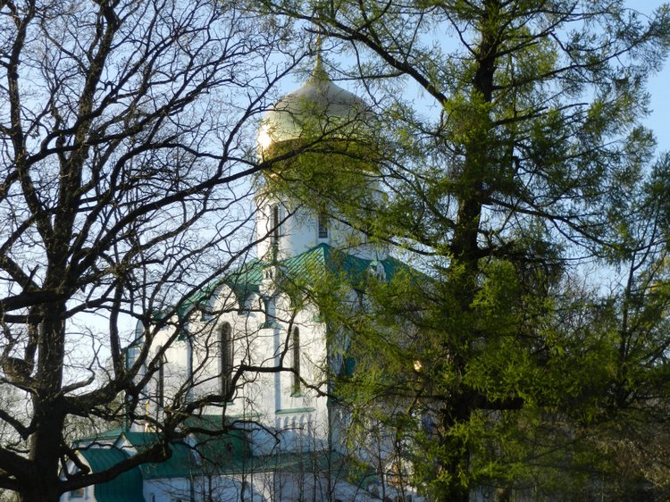 Прогулка подружек тёплым вечерком (фото 4)