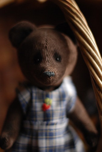 Мои вельветовые медведи — Авторские мишки Тедди и друзья: фото (фото 8)