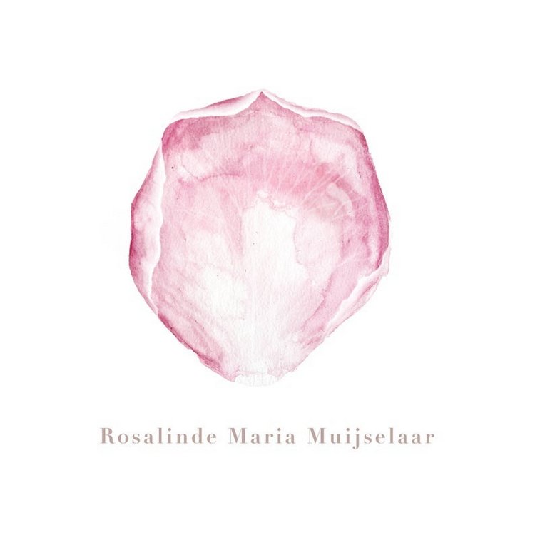 BrigitteMayArt - Иллюстрированная флора и фауна by Brigitte May