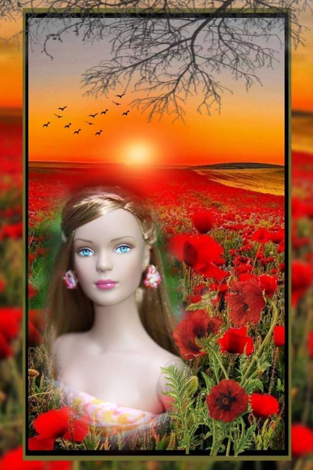 Мои Тоннерки. Фотозарисовки