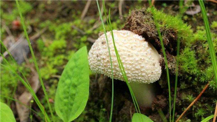 Путешествие Эли на красивый берег реки Волги