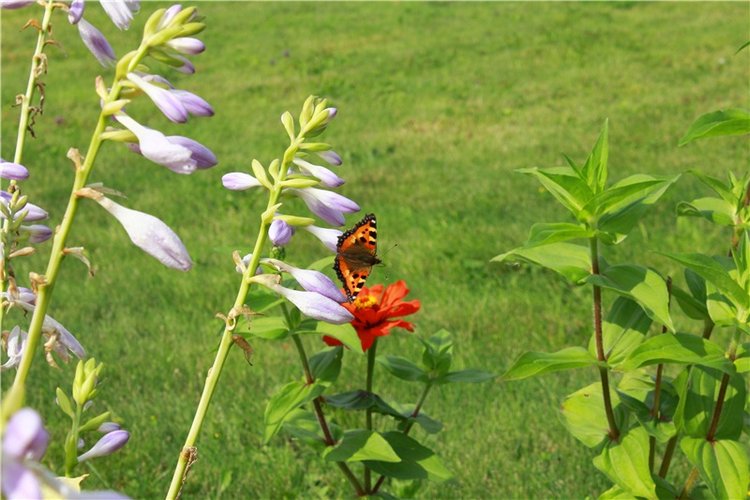 Сентябрьское путешествие в Старицу. Старицкий Свято-Успенский Монастырь