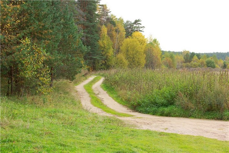 Путешествие Имани на Волгу, продолжение. Mini Imani от Kaye Wiggs