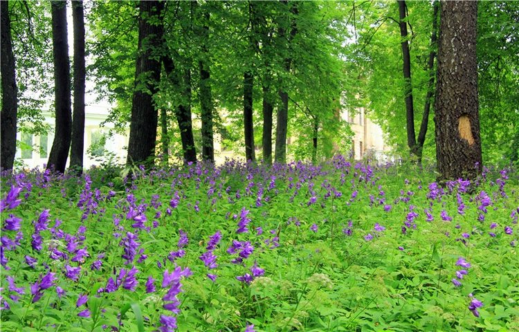 Путешествие Виолы в Усадьбу Знаменское-Раёк