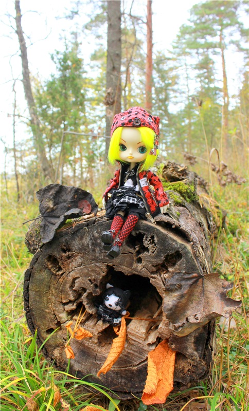 Dal Hangry на Волге — Куклы Pullip (Пуллип) (фото 5)