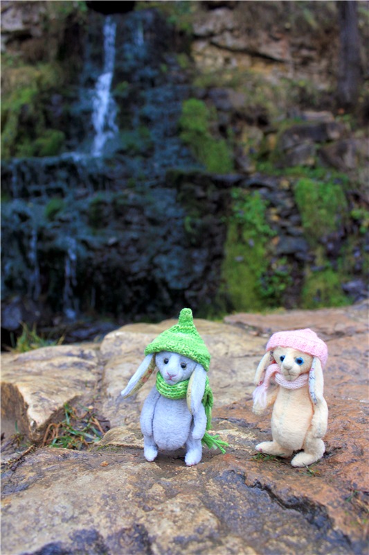 Братья Зайкины на Водопаде (фото 2)