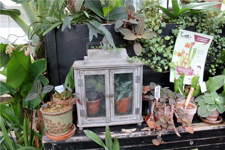 Тверской Ботанический Сад, продолжение | Бэйбики Тверской Ботанический Сад, продолжение