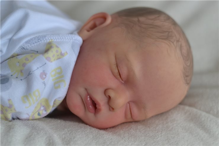 Малыши реборн, молд Yannies от Gudrun Legler