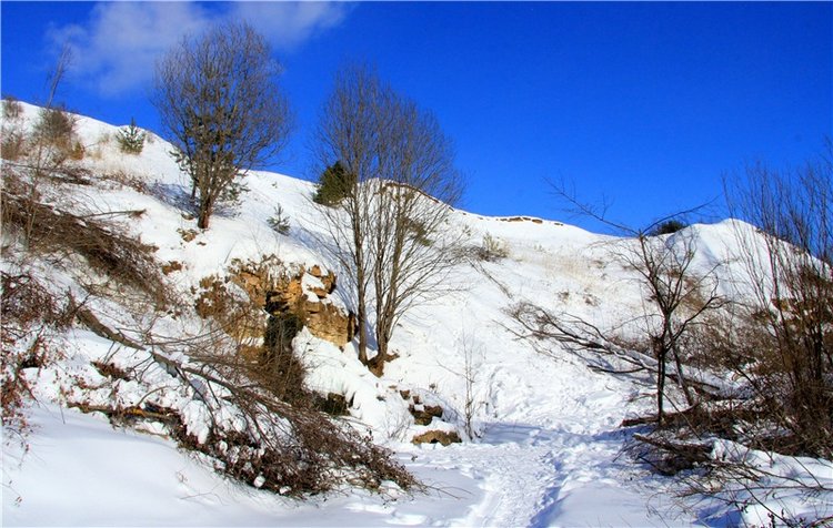 Зимняя прогулка Сони. Уникальная кукла от Сильвии Наттерер