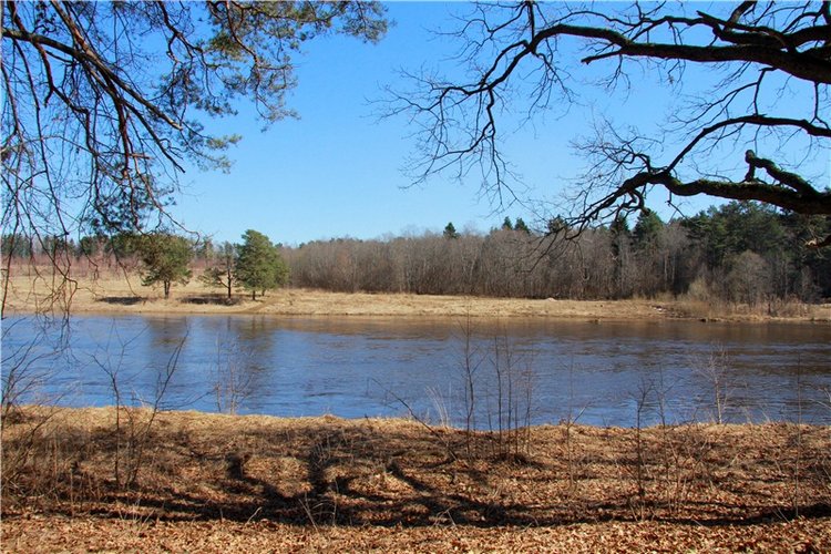Апрельский день в Василёво, продолжение (фото 4)