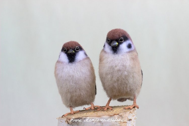 Воробушки — Валяные игрушки из шерсти: сухое валяние