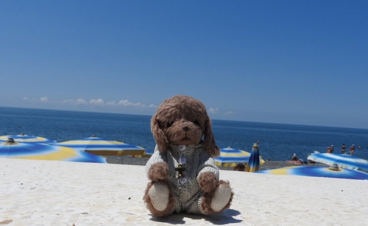 Краснодарский Край, Сочи-Адлер, Санаторий «Южное Взморье»