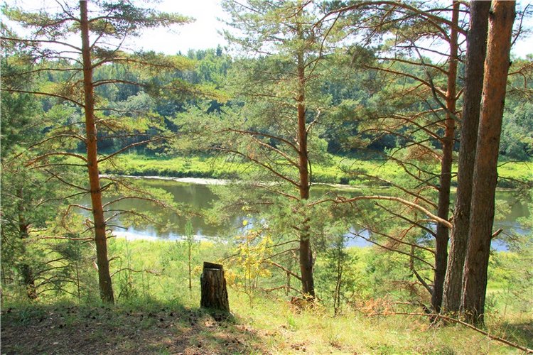 Инопланетянка Нийя. Custom Blythe Doll UFO Go Go Takara