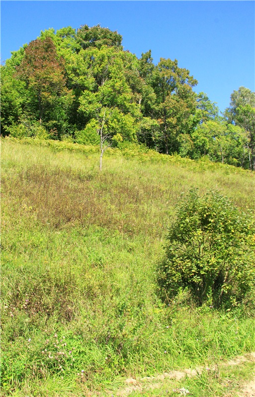 Старицкая Швейцария. Путешествие Мии. Minifee Miyu FairlyLand | Бэйбики Старицкая Швейцария. Путешествие Мии. Minifee Miyu FairlyLand