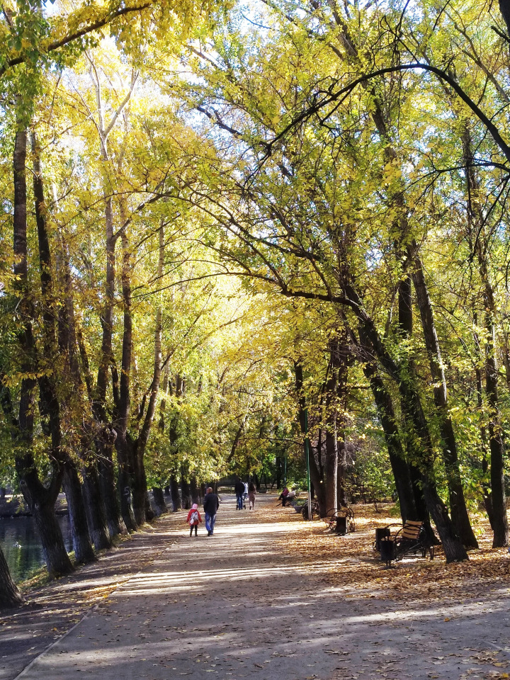 Тайна моего имени. Часть четвертая. Колумбу тоже не верили