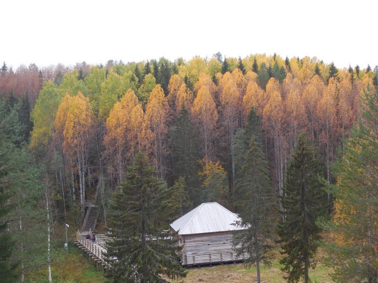 Северная осень — Советские винтажные куклы (СССР): Ленигрушка (фото 4)