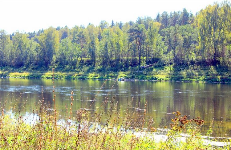 Старицкая Швейцария. Старицкие пещеры, д. Толпино, заключительная часть