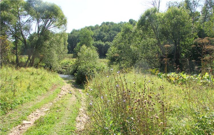 Старицкая Швейцария. Путешествие Мии. Minifee Miyu FairlyLand | Бэйбики Старицкая Швейцария. Путешествие Мии. Minifee Miyu FairlyLand