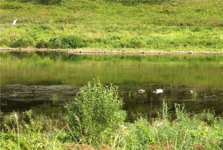 Старицкая Швейцария. Путешествие с Сашей, продолжение. Уникальная кукла от Сильвии Наттерер