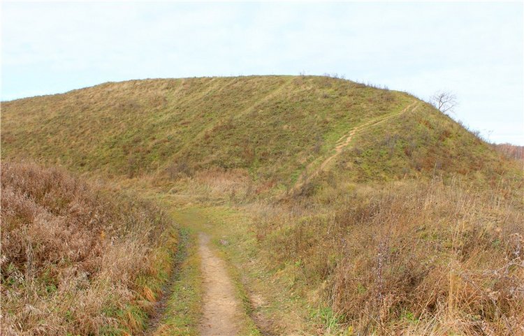 Осеннее путешествие с Мишей. Zwergnase Mischa | Бэйбики Осеннее путешествие с Мишей. Zwergnase Mischa