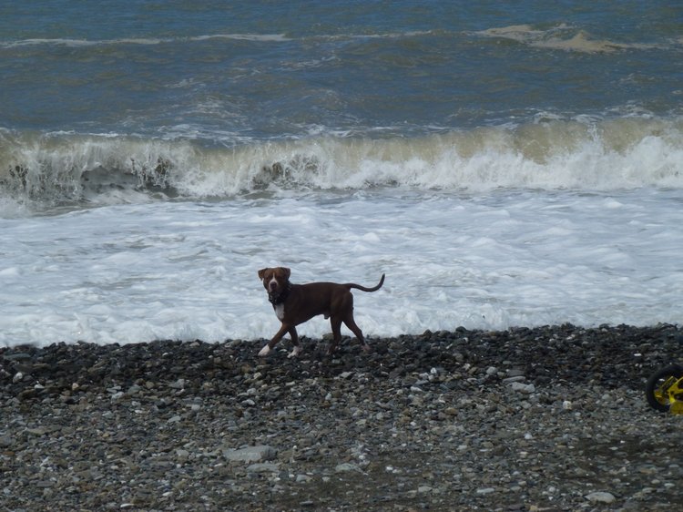 Сочи-Адлер: Южное Взморье - Красоты Черного Моря