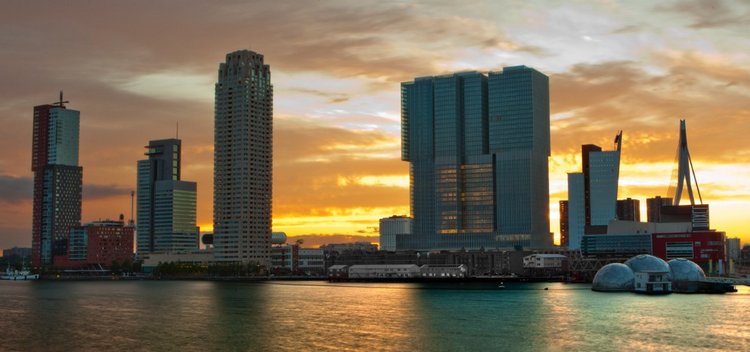 Топик-презентация Бианки. Мисс Бэйбики 2019