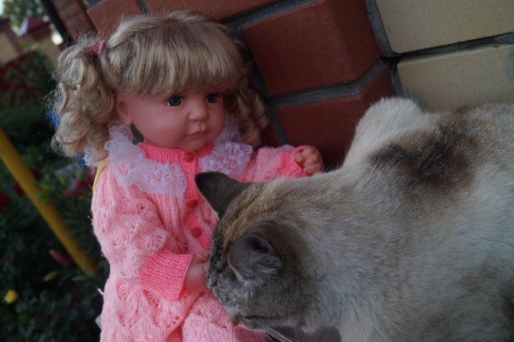 Катя сходила в гости — Интересные игрушки и фигурки (разное): редкие (фото 7)