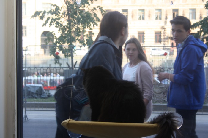 Петербург. Прогулка по крышам. Котокафе. Старые слайды (фото 7)