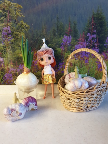 Раз камарик, два камарик — Игровые куклы разных производителей (Разное): редкие бренды (фото 6)