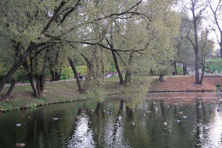 Крошка Элис | Бэйбики Крошка Элис — Куклы Fairyland (ФэйриЛэнд): BJD (БЖД)