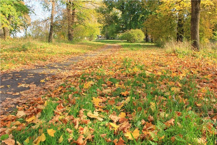 Путешествие Dal Hangry в Грузины, продолжение