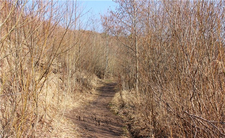 Имани и Водопад — Куклы Kaye Wiggs (Кайе Виггс): авторские BJD (БЖД)