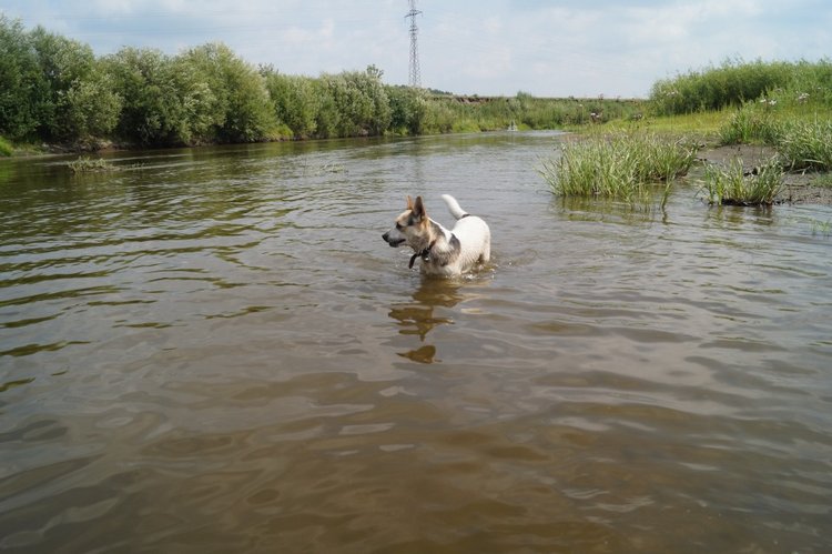 За хорошими эмоциями с семьёй на речку