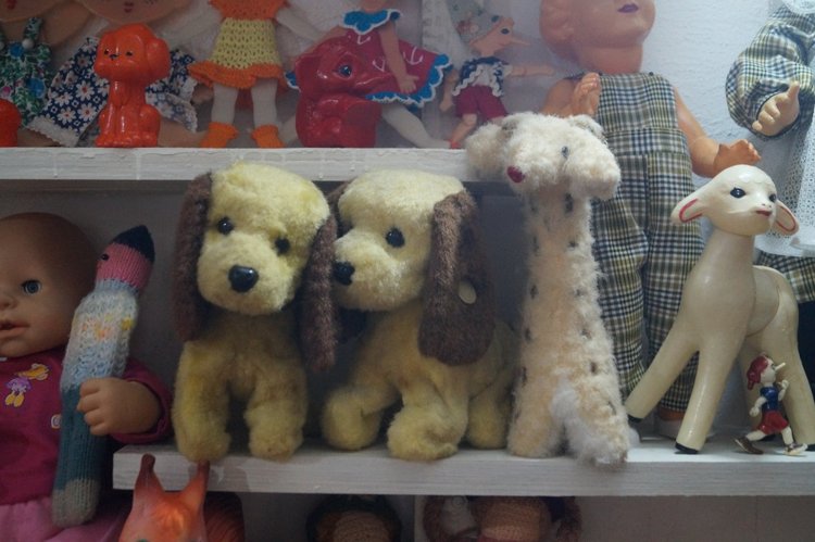 Первая октябрьская выписка. Воссоединение головы и тела. Парикмахерские услуги. Базирон+солнце