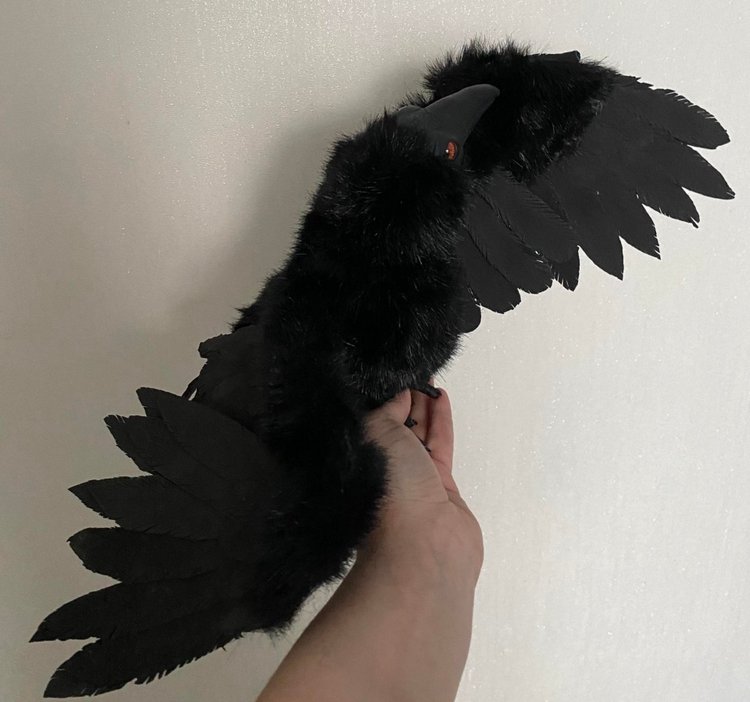 Ворон — Игрушки в смешанной технике (мех и глина): Арт (фото 10)