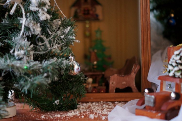 Новогодний вечер — Другие хобби и увлечения: сад