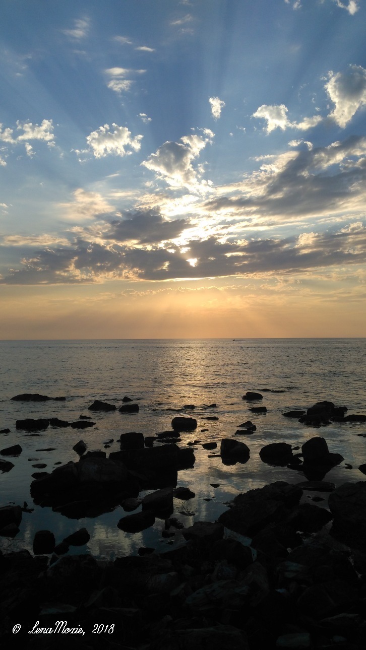 Kidz' тур. Юлино лето — Куклы Kidz'n'Cats (Соня Хартман): шарнирные 46 см