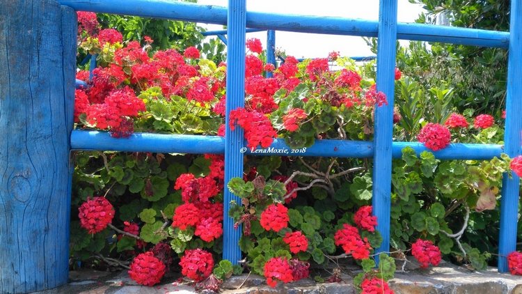 Kidz' тур. Нико на Крите. Аниссарас