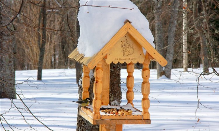 Снежный Март — Туризм и путешествия: фотоотчеты из поездок