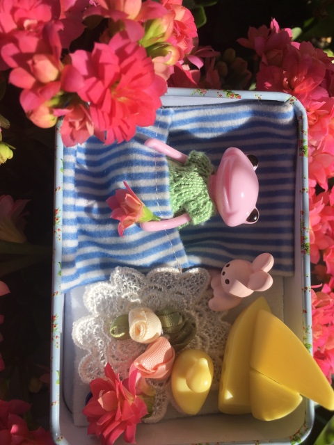 Wonder frog - Tasha Apple от компании Studio uoo