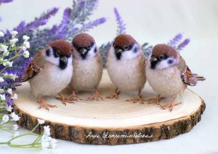 Воробушки — Валяные игрушки из шерсти: сухое валяние (фото 9)