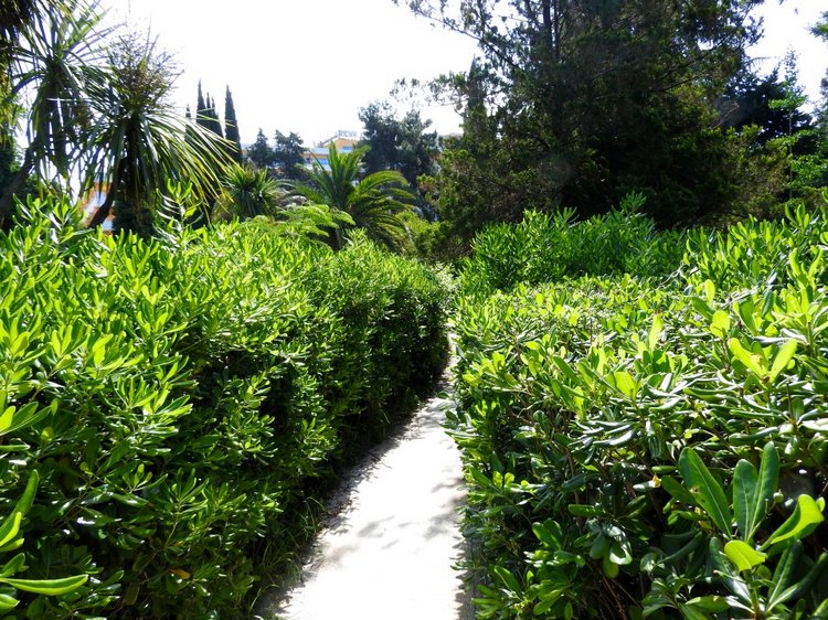 Краснодарский Край, Сочи-Адлер, Санаторий «Южное Взморье»