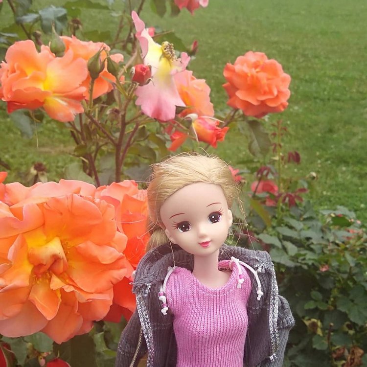 Возвращение Хелены в Кисловодск: опять за своё