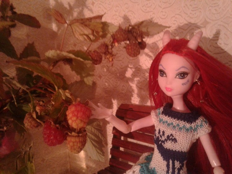 Наше лето, часть 1 — Куклы и тела Obitsu (Обитсу): 1/6